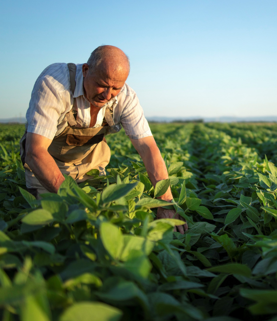 Agricultura Sustentável e Inovação